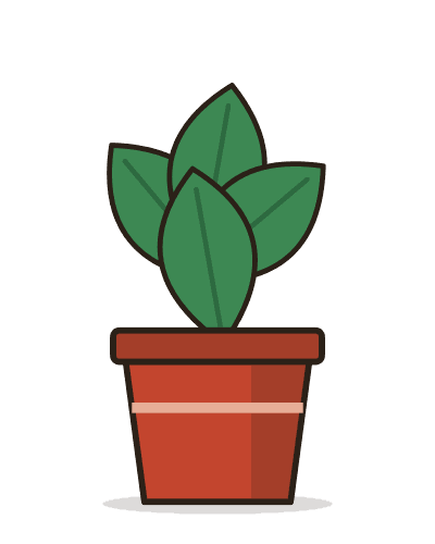 Monstera, 4" pot