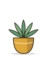 Succulent trio