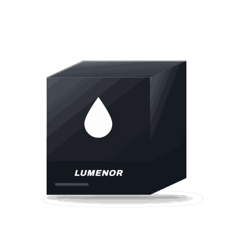 Lumenor H7 white vision bulbs, pair