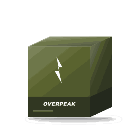 Overpeak digital tyre inflator with auto stop