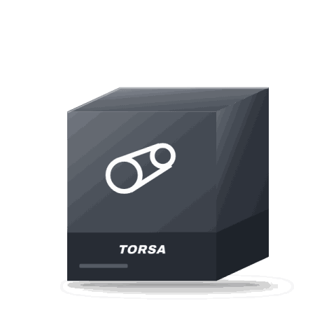 Torsa height-adjustable coilover kit