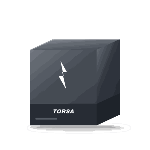 Torsa fully synthetic engine oil 5W-30