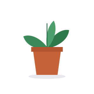 Terracotta planter with saucer