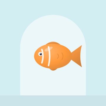Fish & aquarium