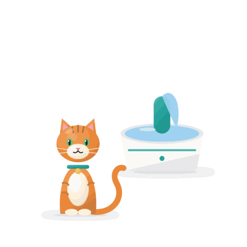 Pet water fountain, 2 l