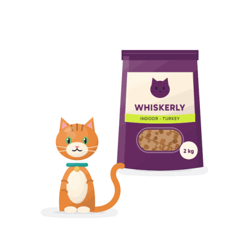 Indoor adult dry food, turkey, grain free