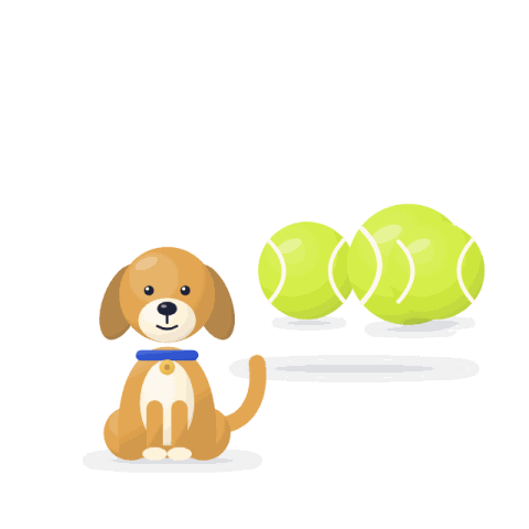 Squeaky tennis balls, pack of 3