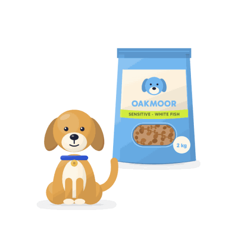 Sensitive skin dry food, white fish & potato