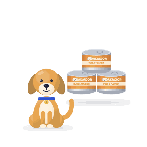 Duck & pumpkin wet food, 6 x 400 g