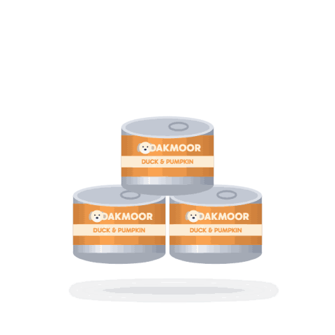 Duck & pumpkin wet food, 6 x 400 g