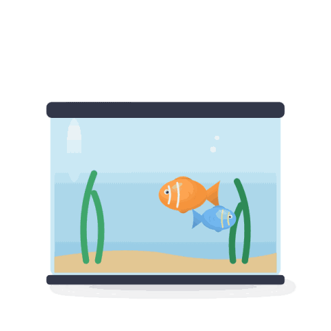 Starter aquarium kit, 60 l