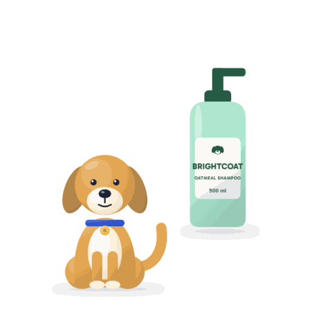 Oatmeal shampoo for sensitive skin, 500 ml