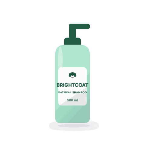Oatmeal shampoo for sensitive skin, 500 ml
