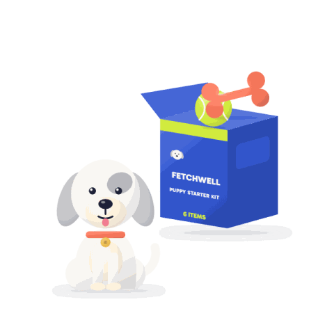 Puppy starter kit, 6 essentials