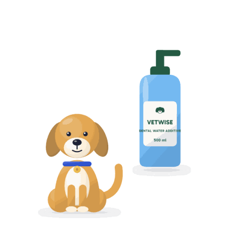 Dental water additive, 500 ml