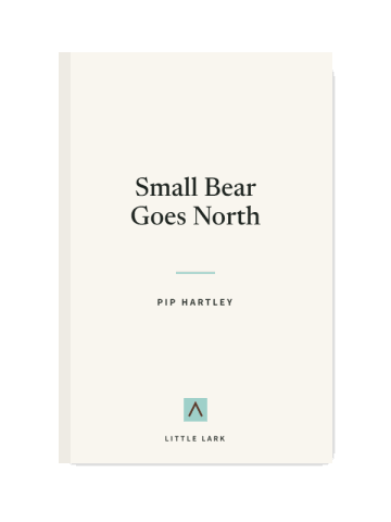 Small Bear Goes North