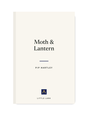 Moth & Lantern