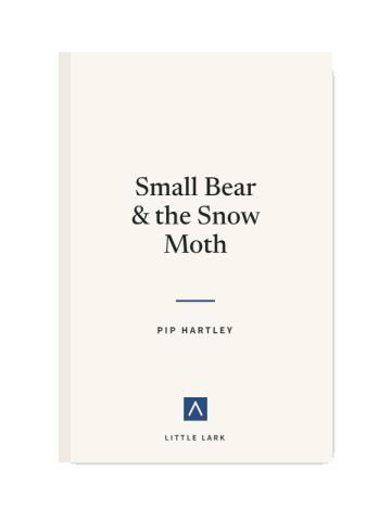 Small Bear and the Snow Moth