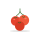 Vine tomatoes