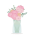 The Blush Peony