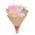 The Blush Peony