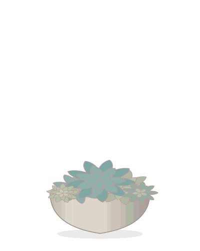Succulent Bowl
