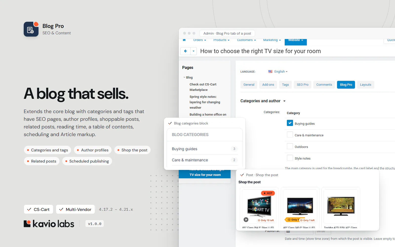 Blog Pro: overview