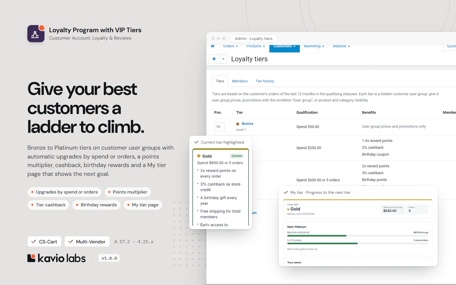 Loyalty Program with VIP Tiers: overview