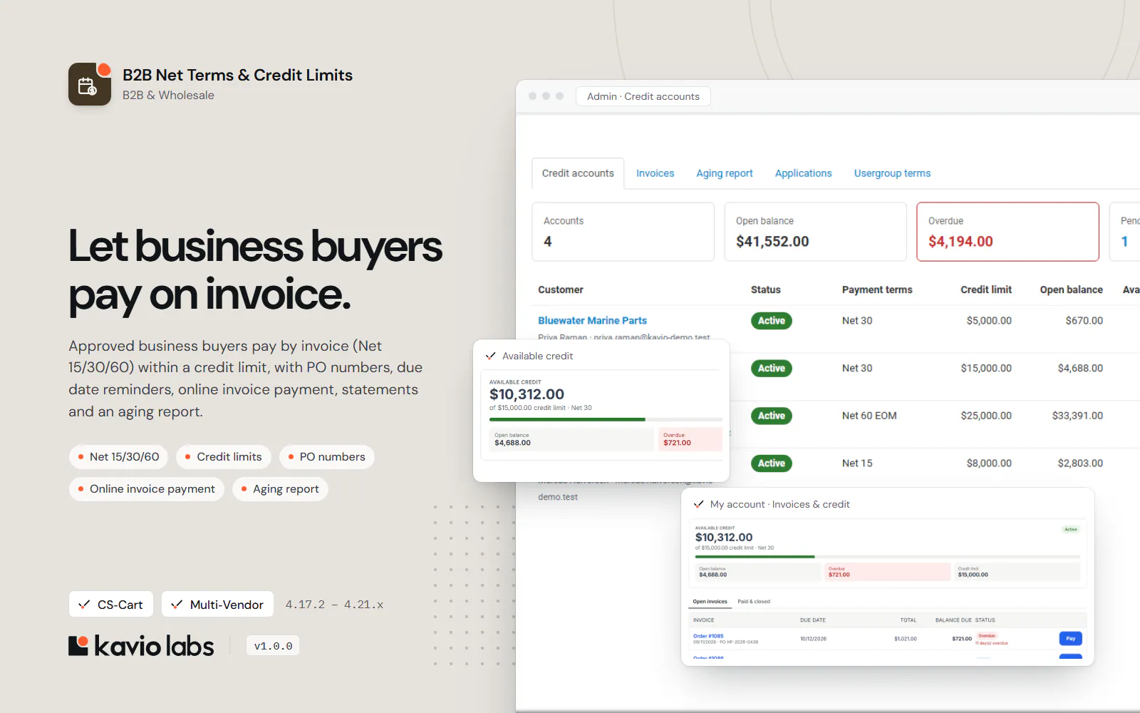 B2B Net Terms & Credit Limits: overview